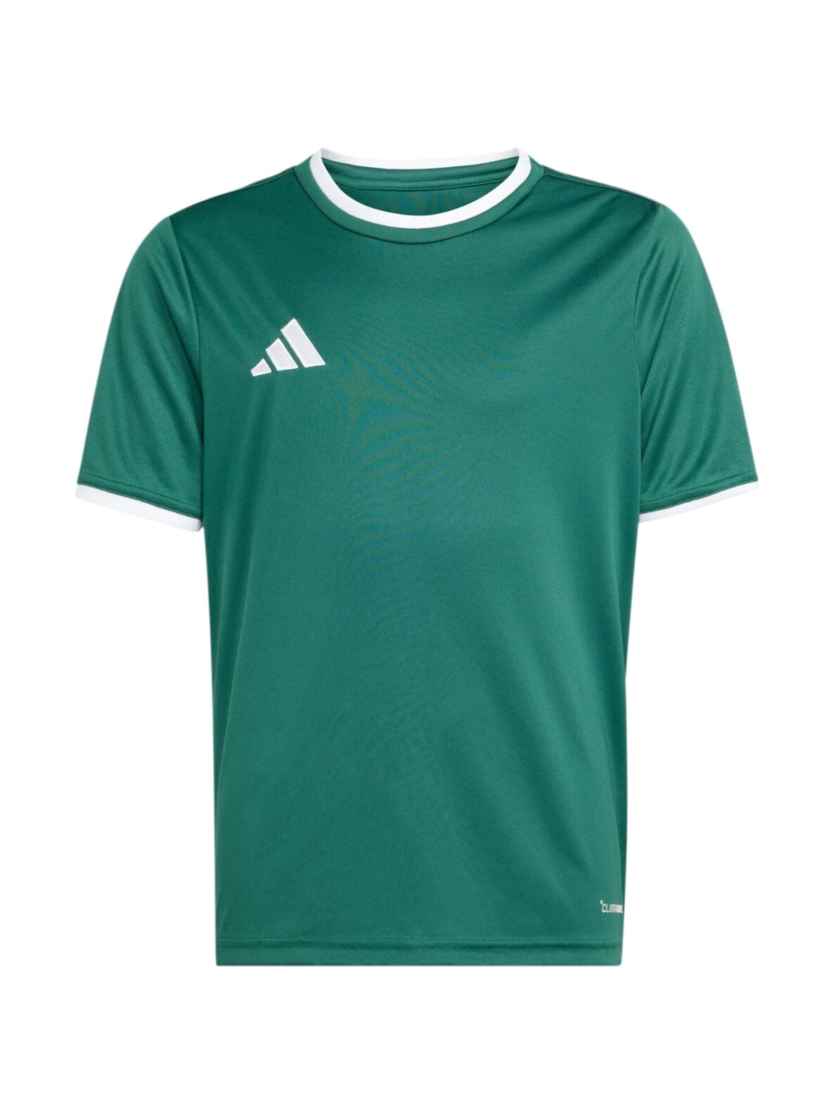 Adidas Entrada 26 Jersey marškinėliai vaikams žali KE9834 1 Adidas Entrada 26 Jersey marškinėliai vaikams žali KE9834 1