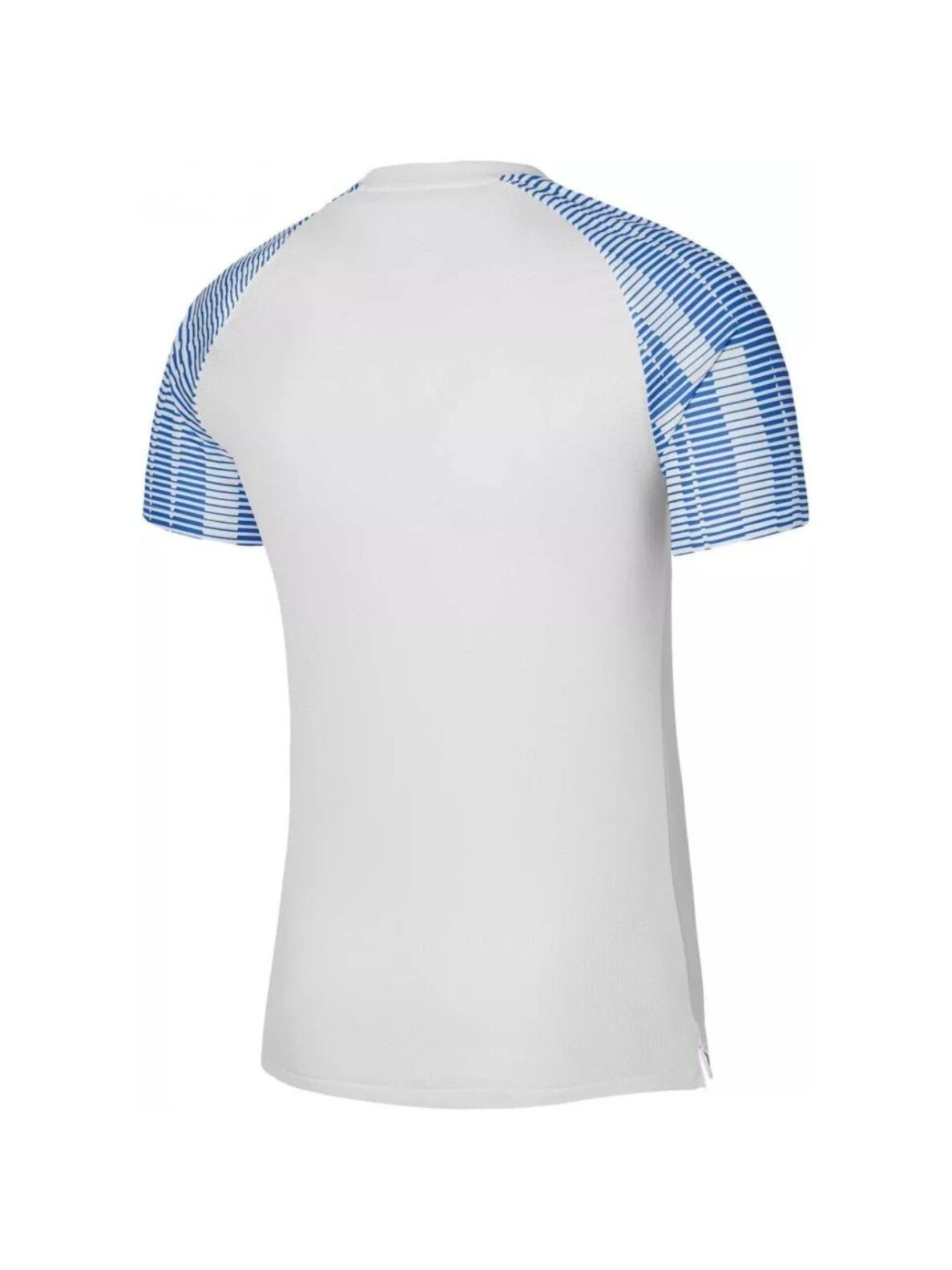 Nike Df Academy Jsy SS vaikiški marškinėliai balti DH8369 102 1 Nike Df Academy Jsy SS vaikiški marškinėliai balti DH8369 102 1