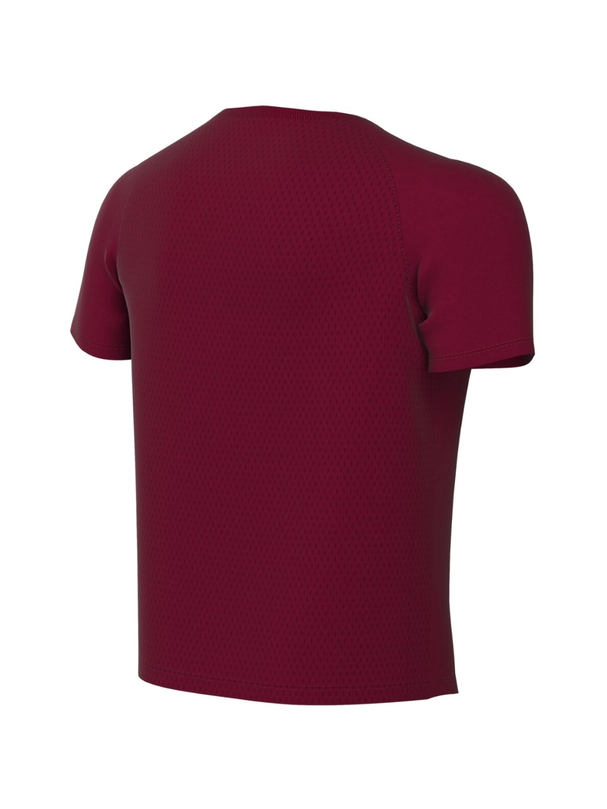 Nike Dri-Fit Park VIII vaikiška marškinėliai bordo spalvos HV8182 677 1