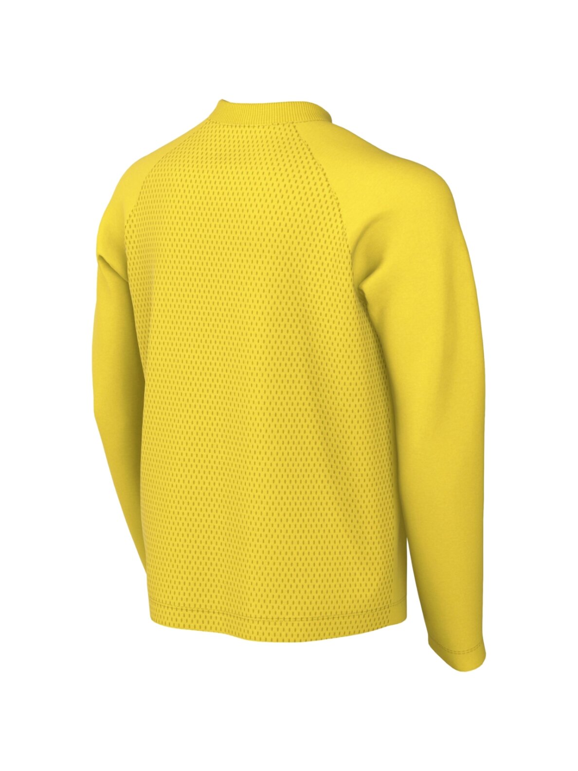 Nike Dri-Fit Park VIII vaikiški marškinėliai ilgomis rankovėmis, geltoni, HV8239 719 1