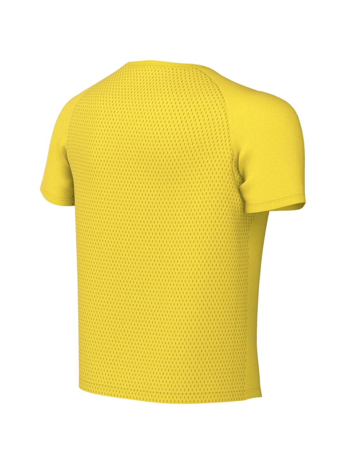 Nike Dri-Fit Park VIII vaikiška marškinėliai geltoni HV8182 719 1