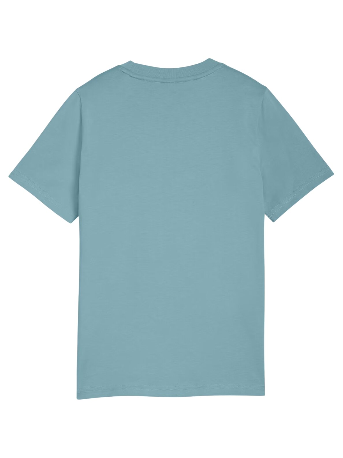 Puma ESS Small No.1 Logo Centered Tee marškinėliai vaikams mėlyni 692975 47 2