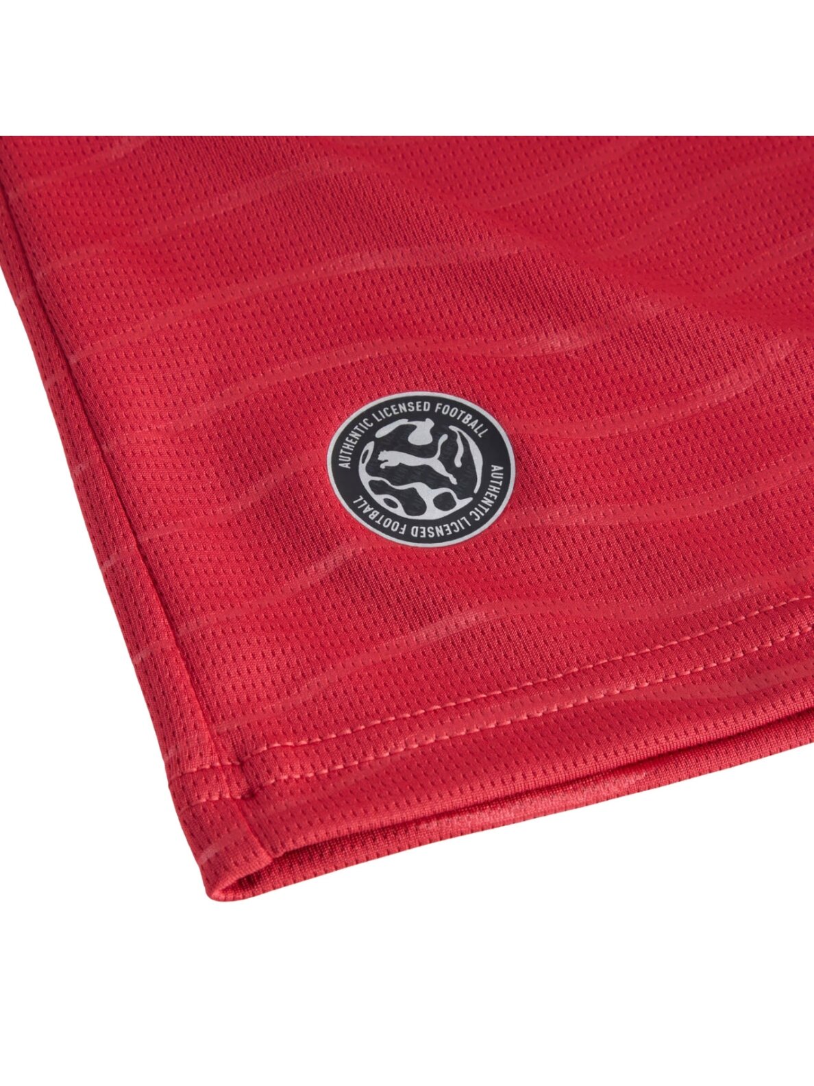 Puma vaikams Portugalija FPF Home Jersey Replica 788144 77 marškinėliai 5