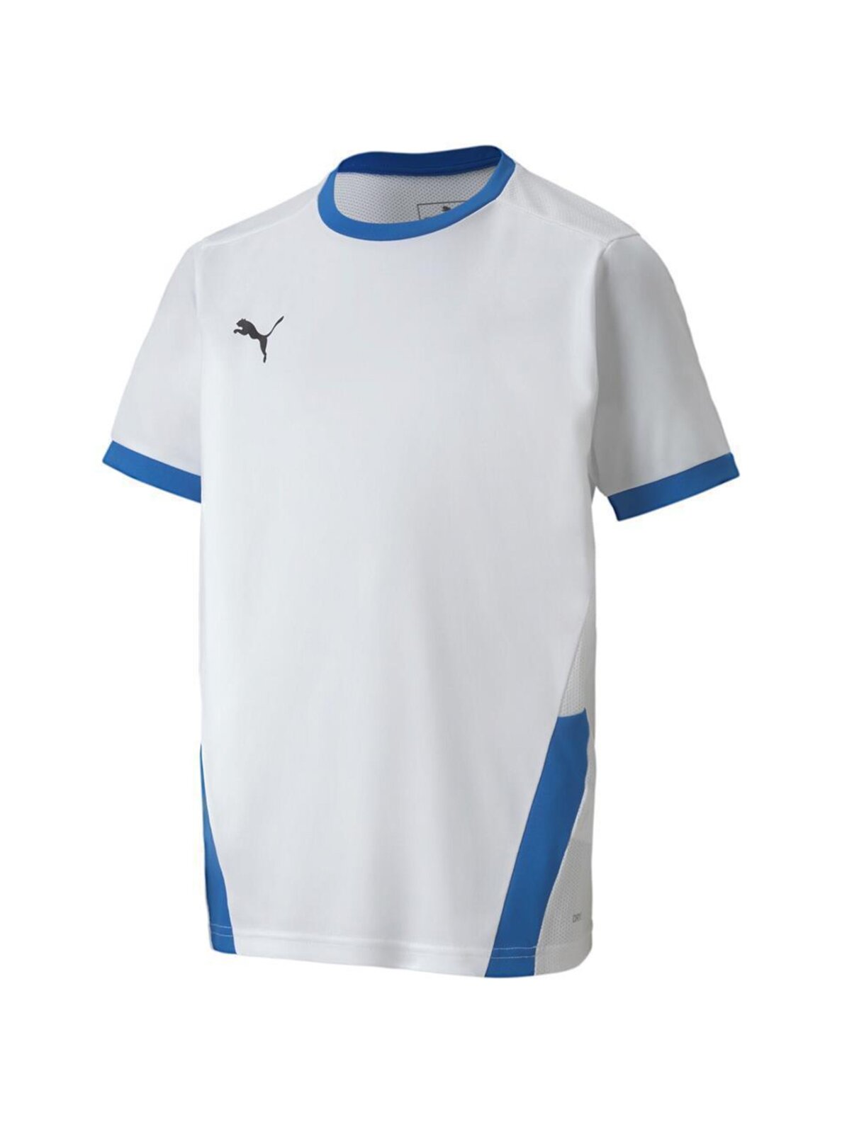 Puma teamGOAL 23 Džersis vaikiški marškinėliai balti ir mėlyni 704160 12