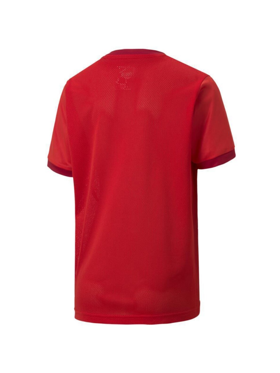 Puma teamGOAL 23 Jersey vaikiški marškinėliai raudoni 704160 01 1