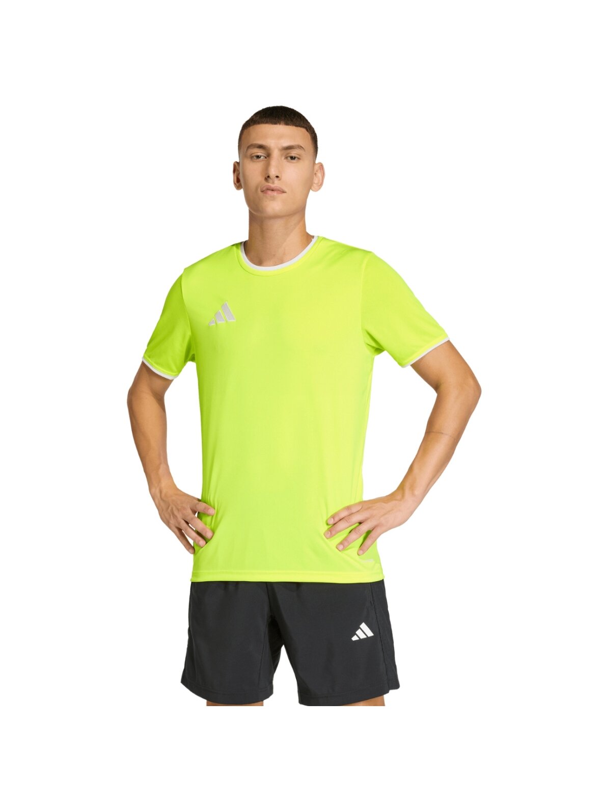 Adidas Entrada 26 Jersey vyrams limonkowa KE9840 Adidas Entrada 26 Jersey vyrams limonkowa KE9840