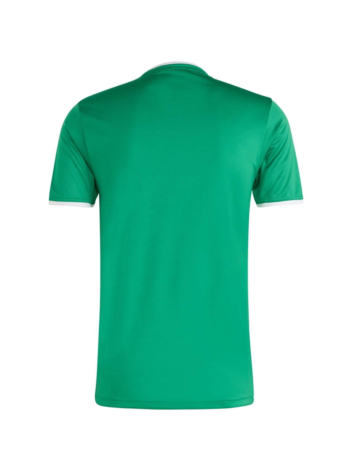 Adidas Entrada 26 Jersey vyriška marškinėliai žali JZ2503 2 Adidas Entrada 26 Jersey vyriška marškinėliai žali JZ2503 2