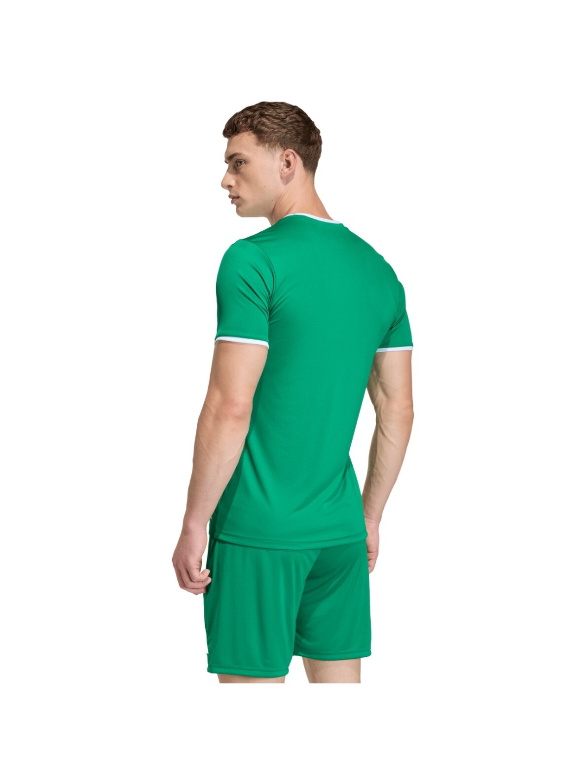 Adidas Entrada 26 Jersey vyriška marškinėliai žali JZ2503 3