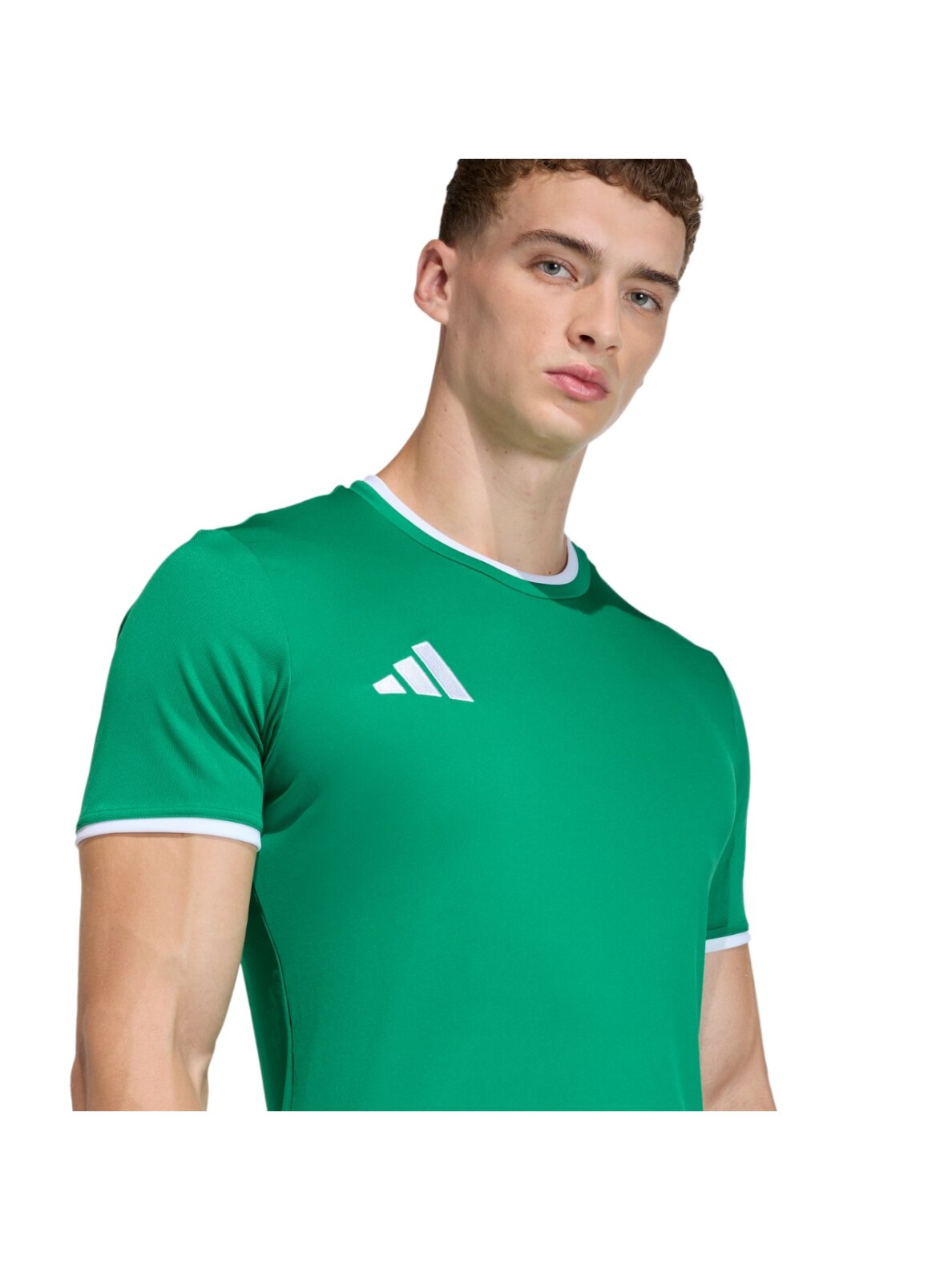 Adidas Entrada 26 Jersey vyriška marškinėliai žali JZ2503 4