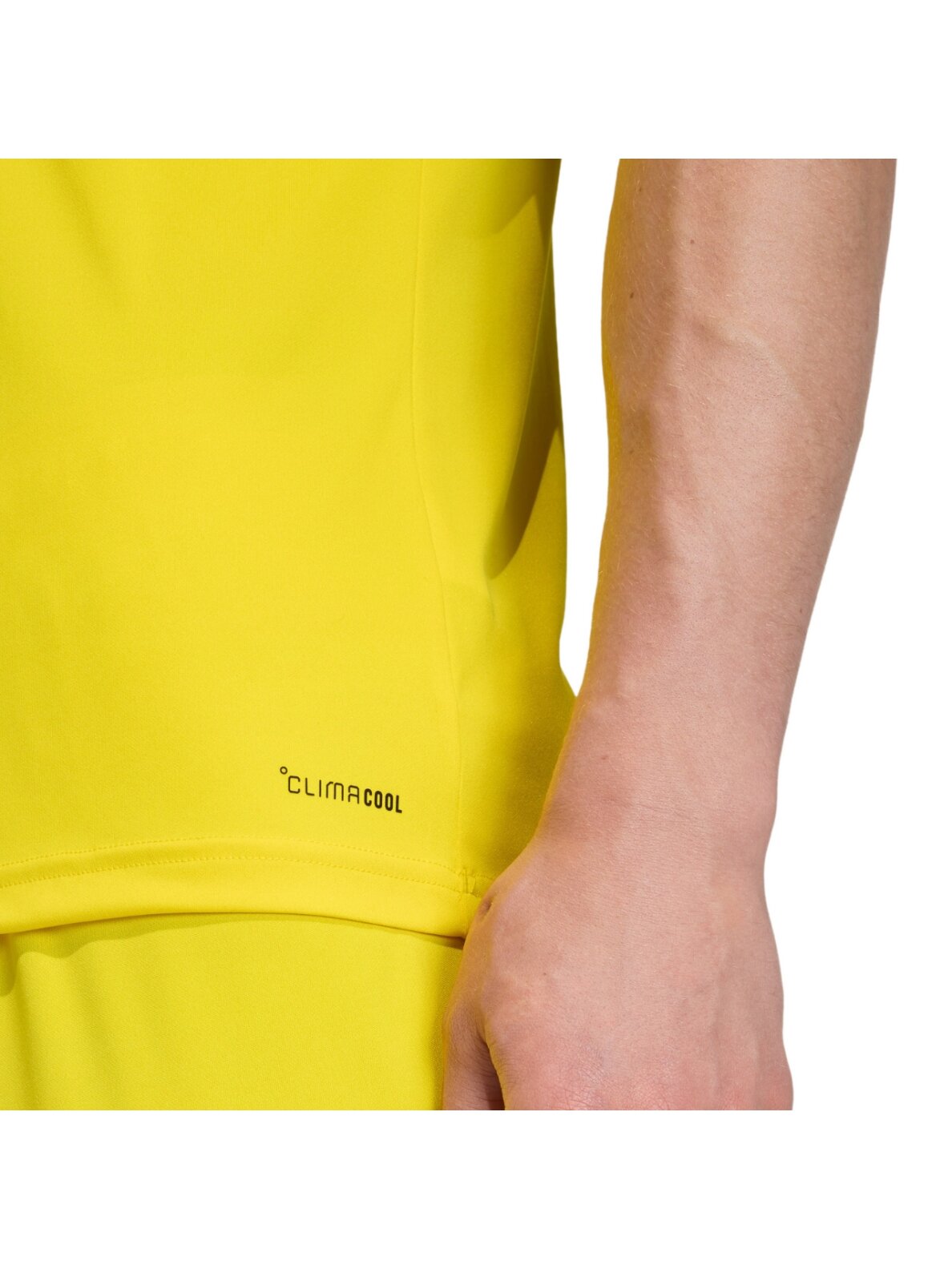 Adidas Entrada 26 Jersey vyrams geltona JZ2502 5