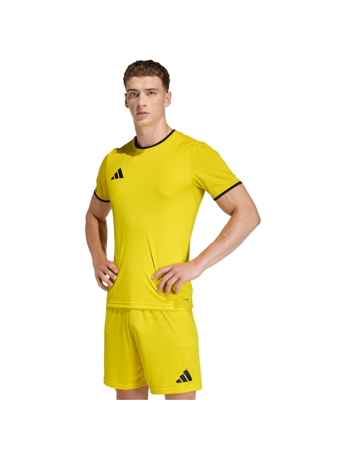 Adidas Entrada 26 Jersey vyrams geltona JZ2502