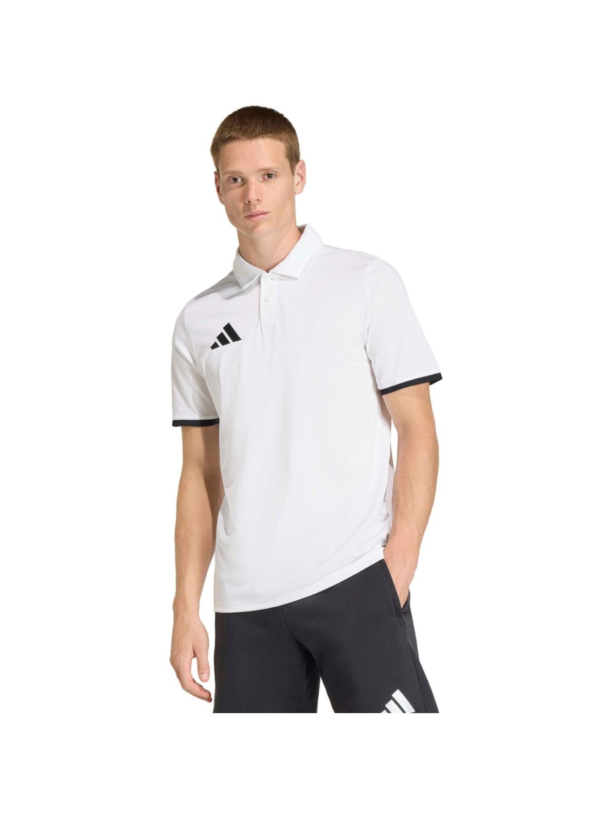 Adidas Entrada 26 Polo marškinėliai vyrams balti JZ6661