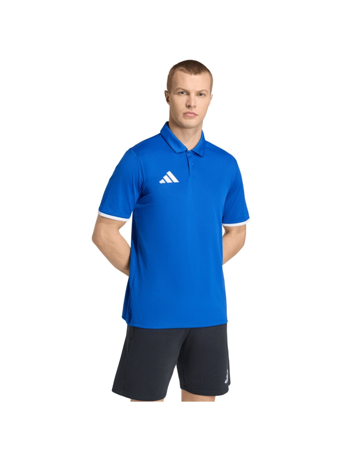 Adidas Entrada 26 Polo marškinėliai vyrams mėlyni JZ6665