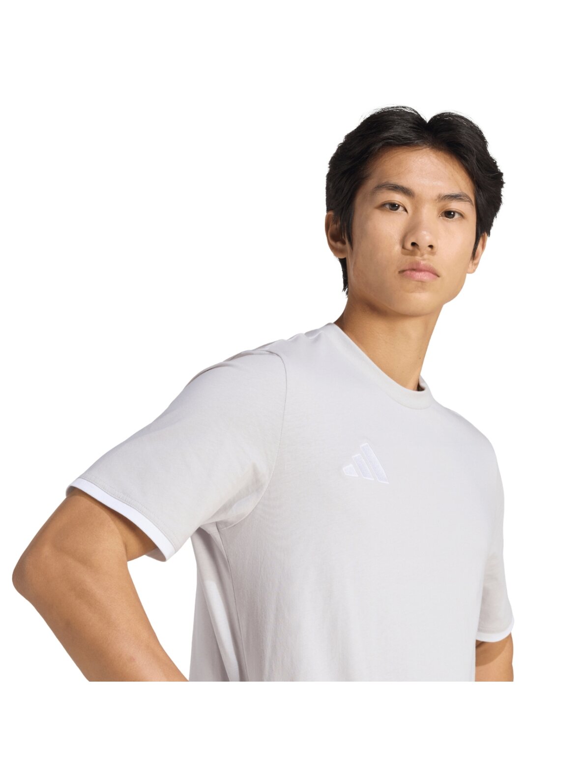 Adidas Entrada 26 Tee vyriški marškinėliai pilki JZ6677 3