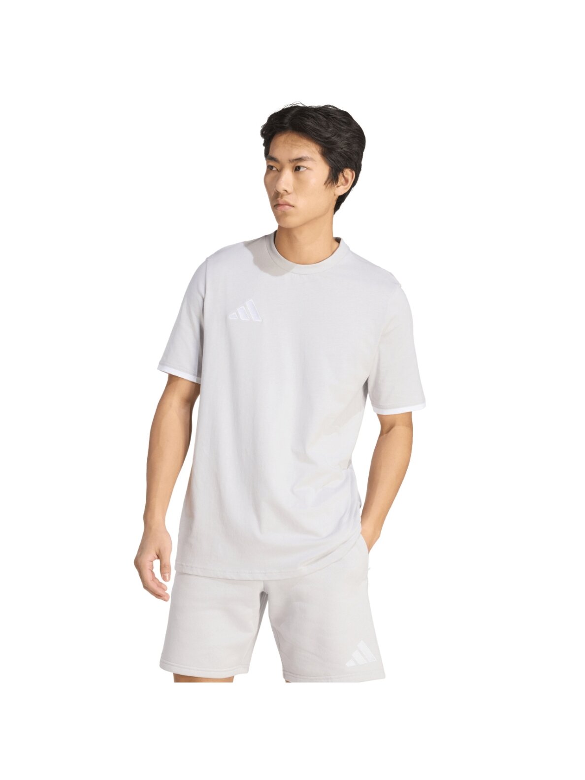 Adidas Entrada 26 Tee vyriški marškinėliai pilki JZ6677