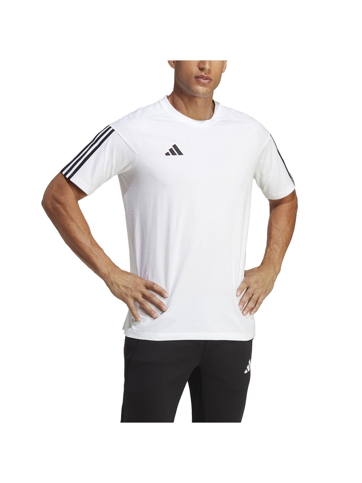 Vyriškas adidas Tiro 23 Competition Tee baltas IC4574 3