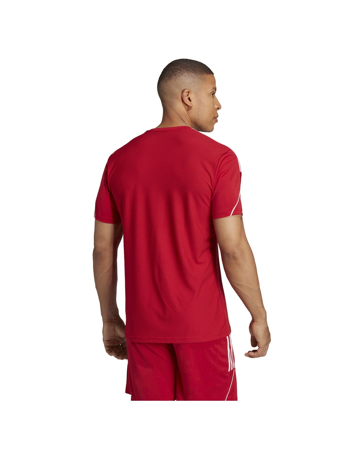Vyriški marškinėliai adidas Tiro 23 League Jersey raudona HT6128 4 Vyriški marškinėliai adidas Tiro 23 League Jersey raudona HT6128 4