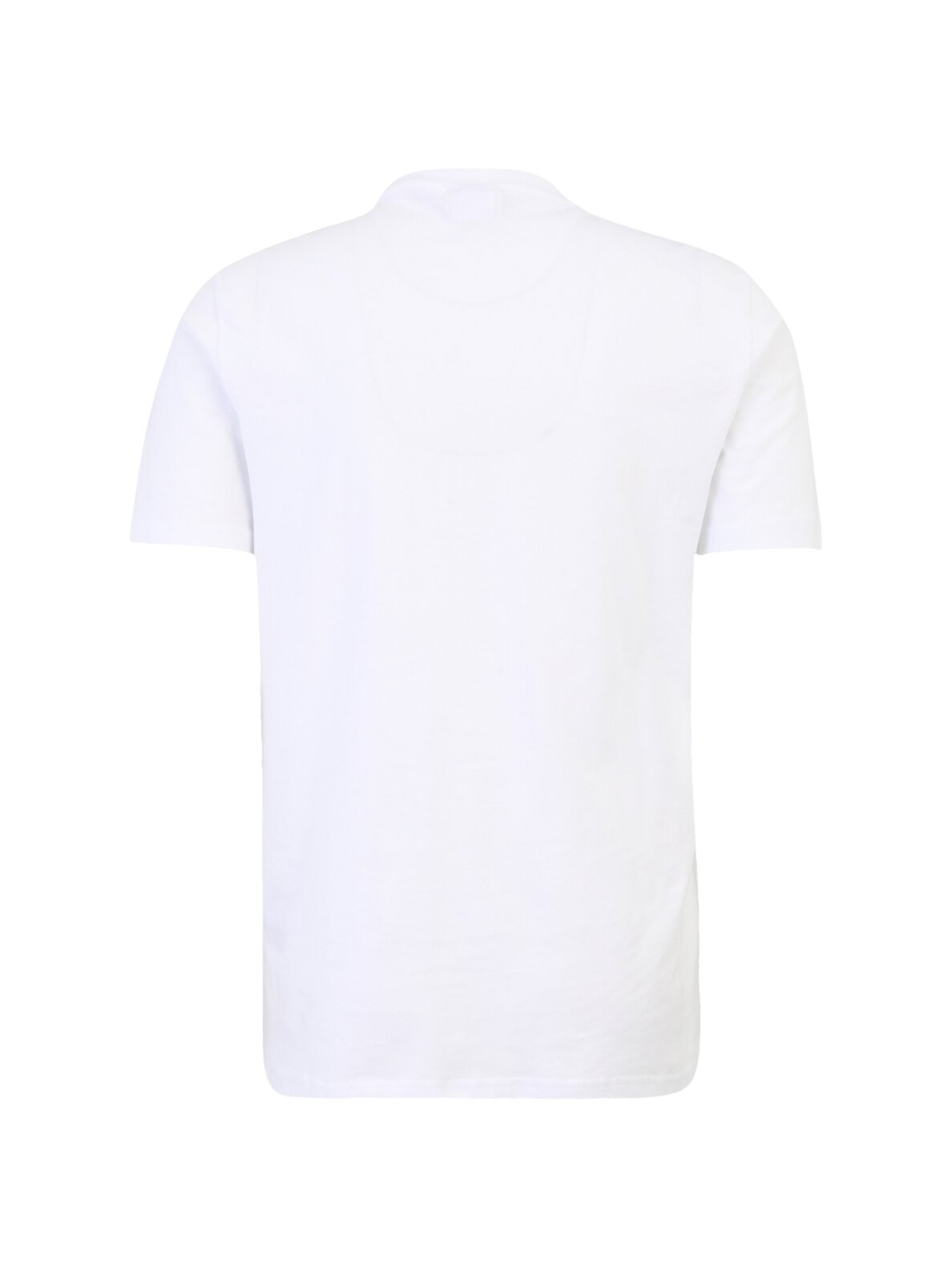 Fila Laas Regular Tee vyriški marškinėliai balti FAM0874 10001 1