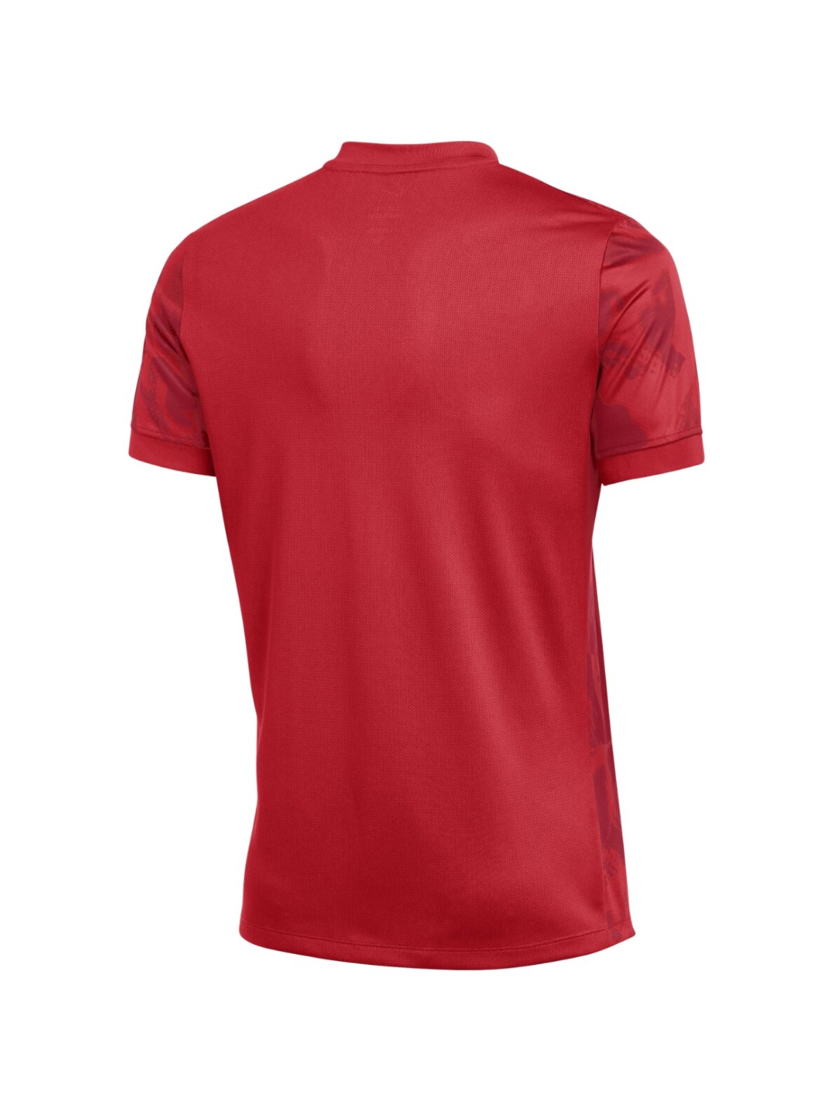 Nike Dri-Fit Precision VII marškinėliai vyrams, raudoni FZ9332 657 1 Nike Dri-Fit Precision VII marškinėliai vyrams, raudoni FZ9332 657 1