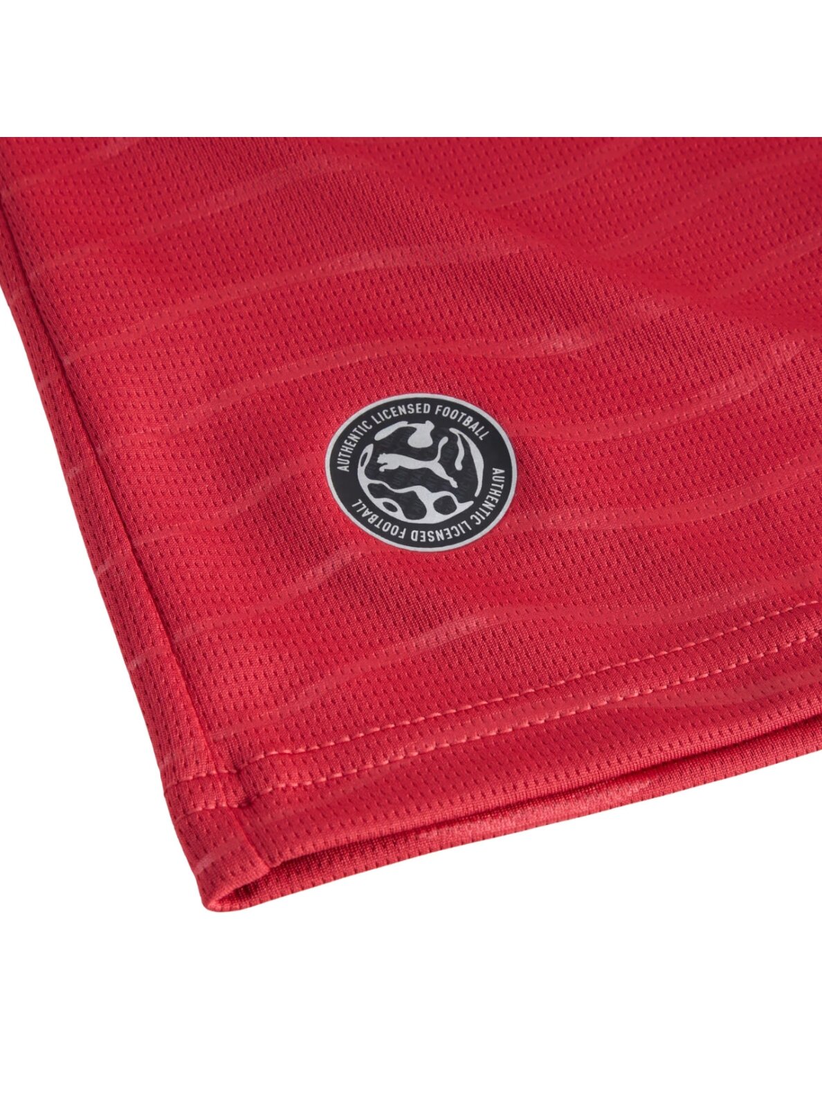 Puma vyriška Portugalija FPF Home Jersey Replica marškinėliai raudoni 788141 77 6