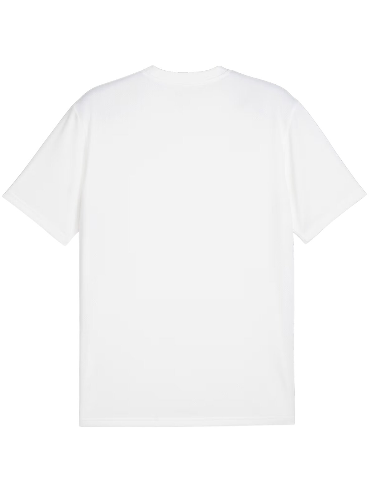 Puma TeamGoal Jersey vyrams balta 658636 04 1