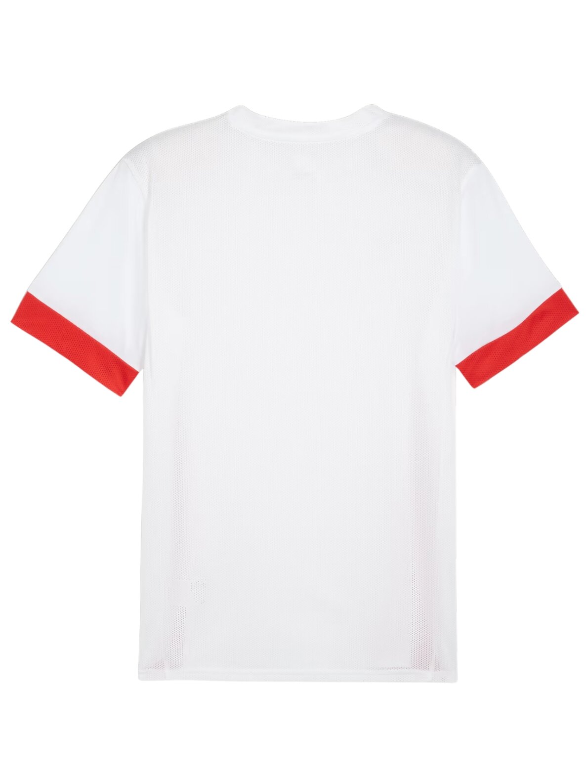 Puma teamGoal Matchday Jersey vyrams balta-raudona 705747 11 1