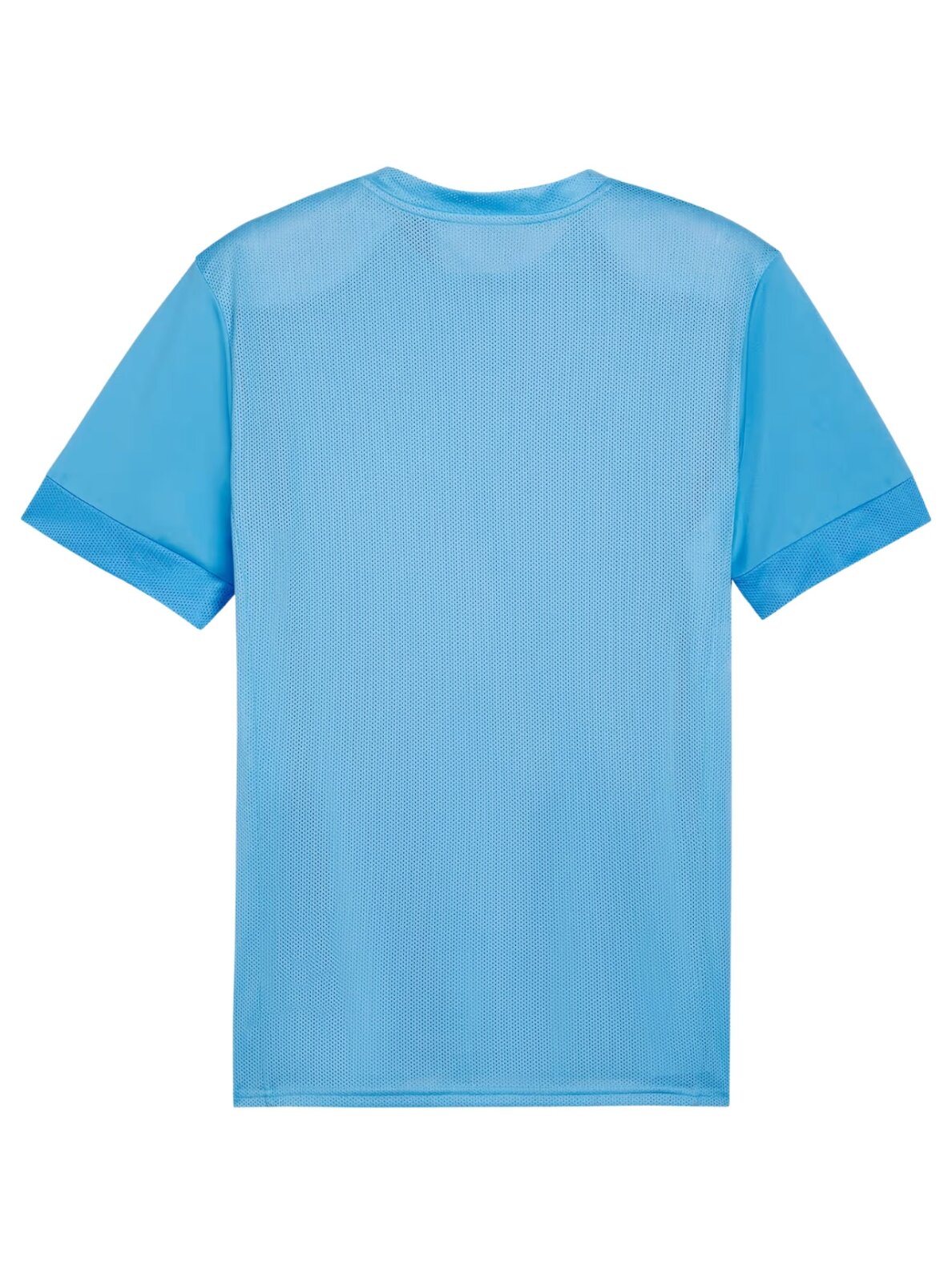 Puma teamGoal Matchday Jersey vyrams šviesiai mėlyna 1