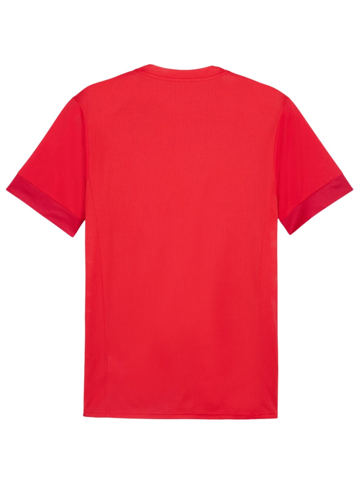 Puma vyriški teamGoal Matchday Jersey marškinėliai raudoni 705747 01 1