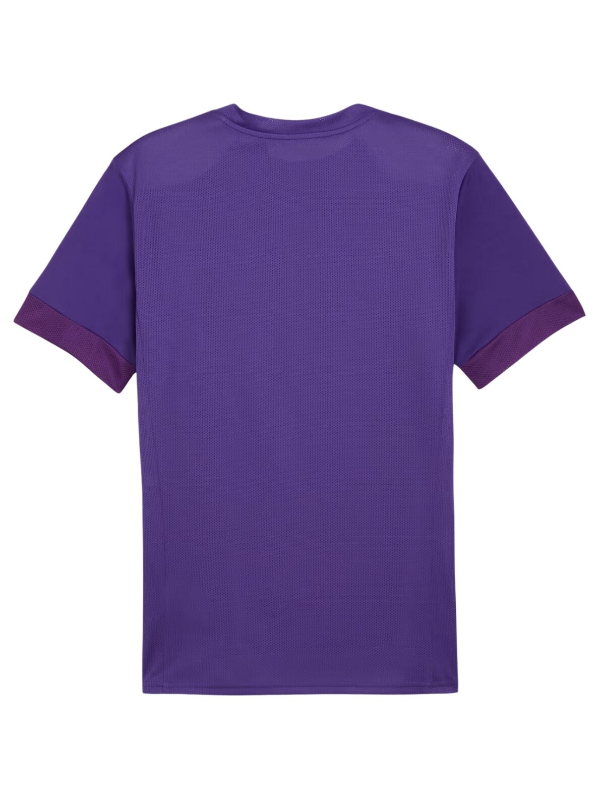 Puma teamGoal Matchday Jersey violetinė vyrams 705747 10 1 Puma teamGoal Matchday Jersey violetinė vyrams 705747 10 1