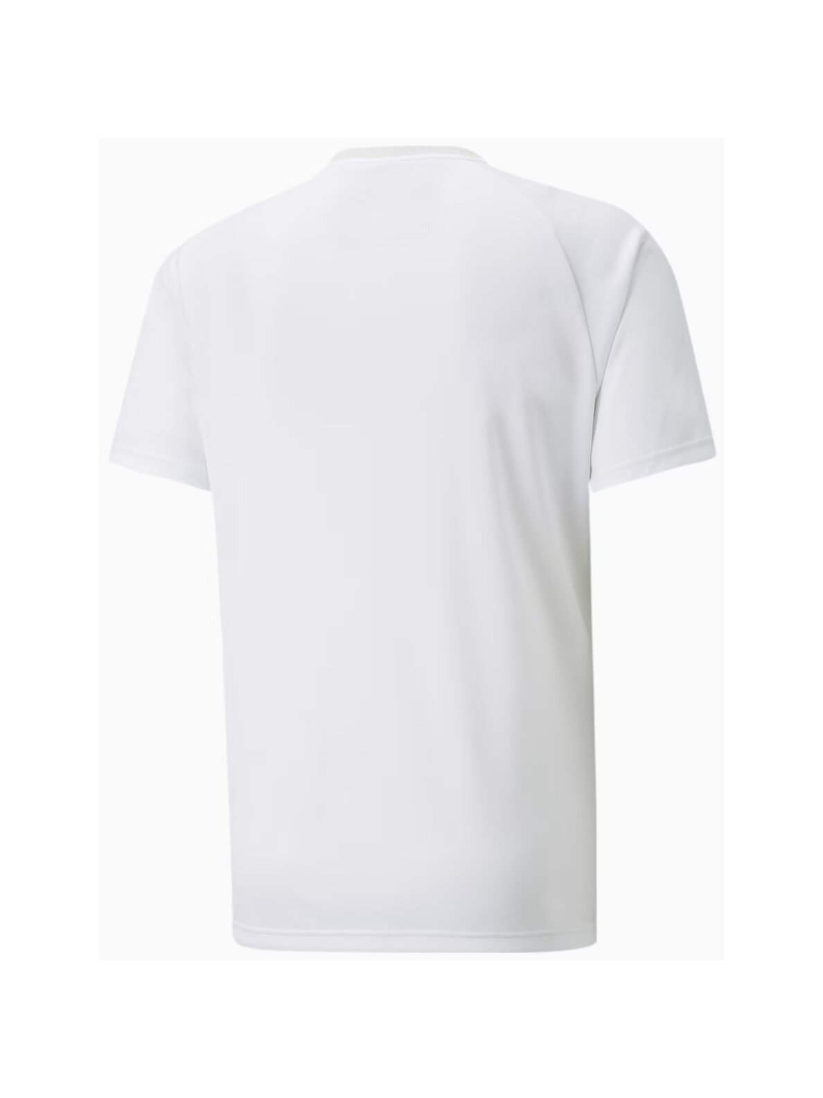 Puma teamVISION Jersey vyriški marškinėliai balti 704921 04 1