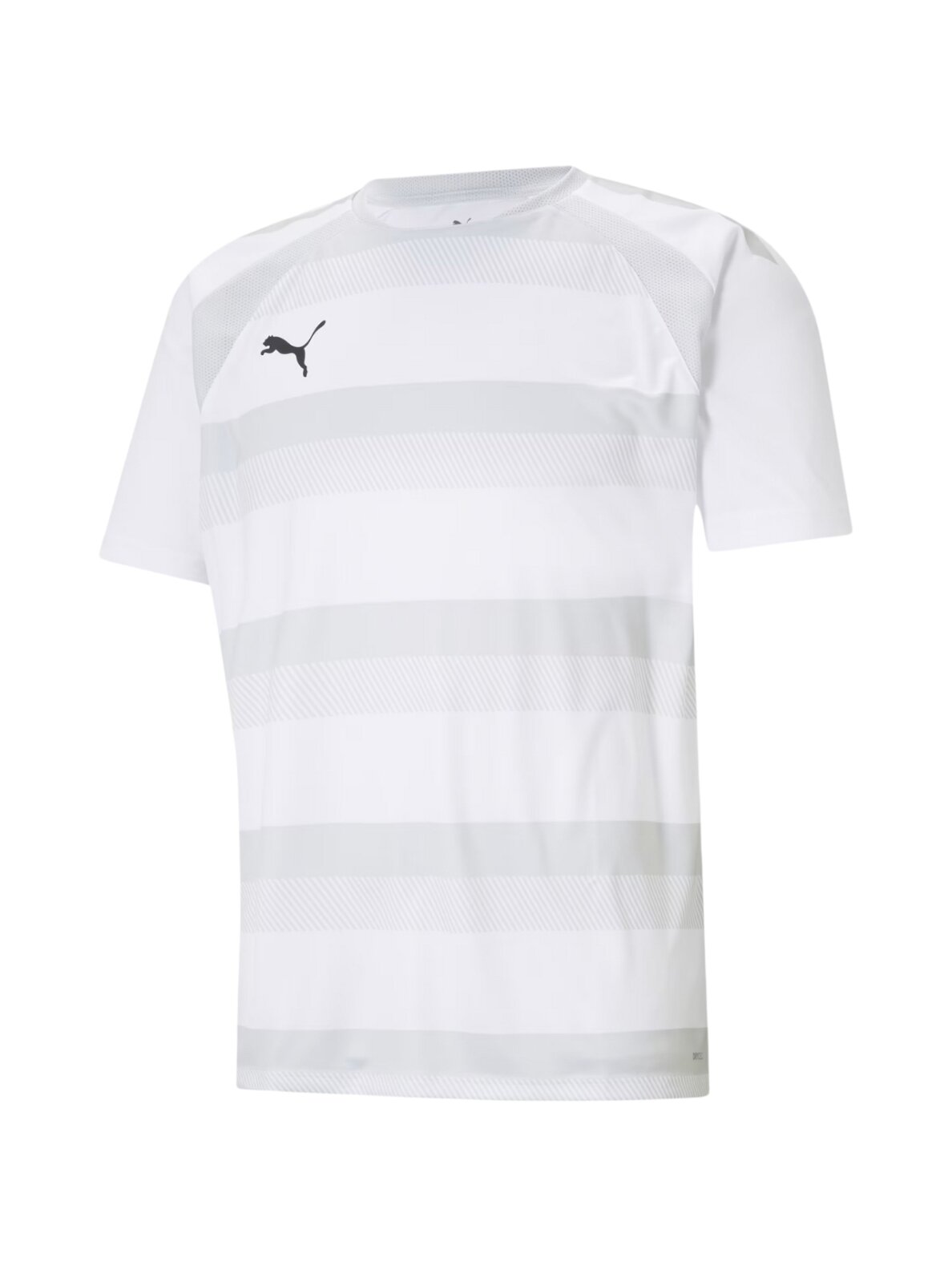 Puma teamVISION Jersey vyriški marškinėliai balti 704921 04