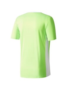 Adidas Entrada 18 Jersey JUNIOR futbolo marškinėliai vaikams, šviežiai žali CE9755