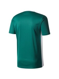 adidas Entrada 18 Jersey JUNIOR marškinėliai vaikams žali CE9563