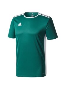 adidas Entrada 18 Jersey JUNIOR marškinėliai vaikams žali CE9563