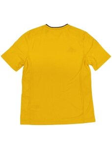 Adidas Fort 14 JSY C Junior marškinėliai vaikams geltoni F86476