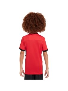 Nike Dri-Fit Academy 25 SS marškinėliai vaikams raudoni FZ9758 657