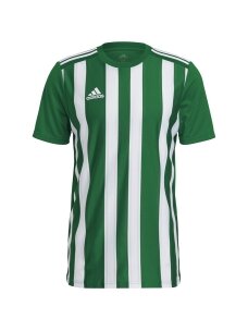 Vyriški marškinėliai adidas Striped 21 Jersey žaliai balti H35644