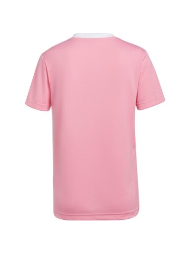 Moteriški marškinėliai Adidas Entrada 22 Jersey pink HC5075