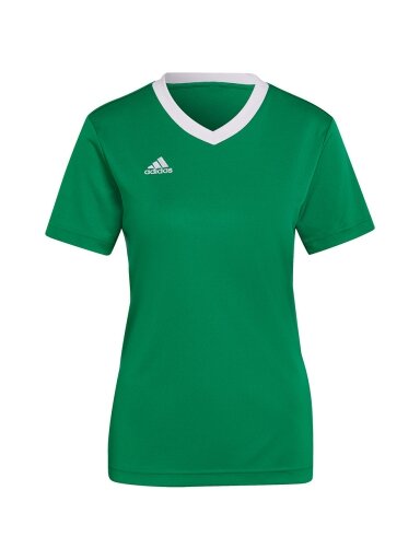 Adidas Entrada 22 Moteriški marškinėliai žali HI2124