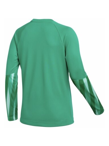 Nike Dri-Fit Park V Stadium moterims žalia HV8316 324