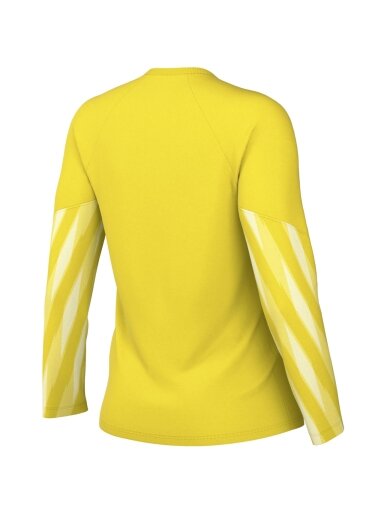 Nike Dri-Fit Park V Stadium moterims geltona HV8316 718
