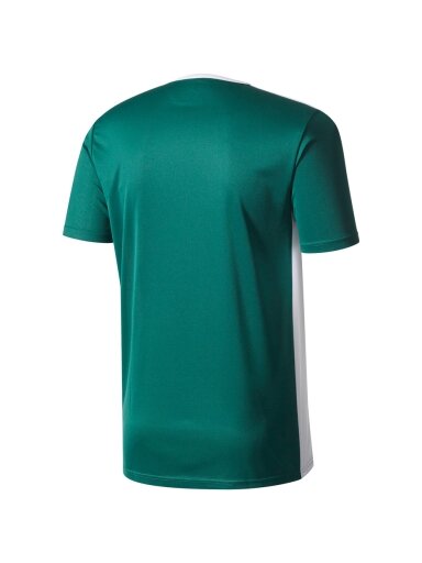 adidas Entrada 18 Jersey JUNIOR marškinėliai vaikams žali CE9563