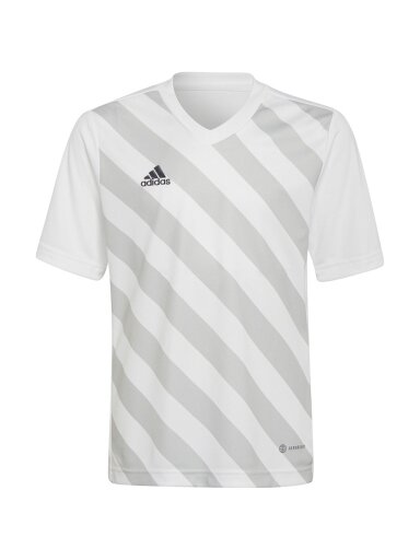 Adidas Entrada 22 Graphic Jersey vaikiški marškinėliai, balti ir pilki HF0120