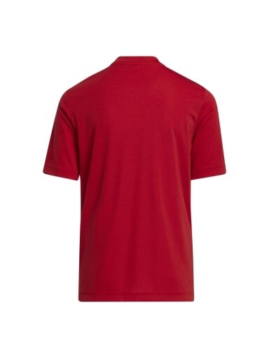 Adidas Entrada 22 Graphic Jersey vaikiški marškinėliai, raudoni H58983