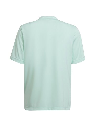 Adidas Entrada 22 Graphic Jersey vaikiški marškinėliai mėtų pilkumo HF0127
