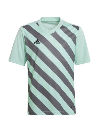 Adidas Entrada 22 Graphic Jersey vaikiški marškinėliai mėtų pilkumo HF0127