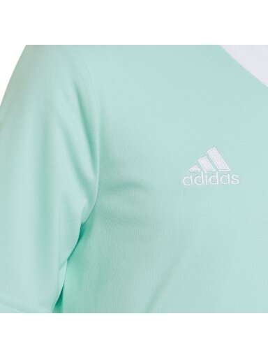 Vaikiški marškinėliai adidas Entrada 22 Jersey mint HC5078