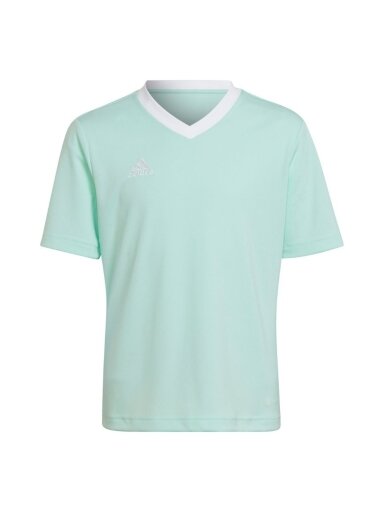 Vaikiški marškinėliai adidas Entrada 22 Jersey mint HC5078