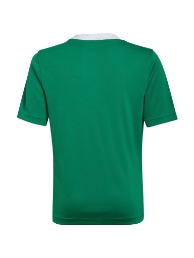 Adidas Entrada 22 Jersey vaikiški marškinėliai, žali HI2126