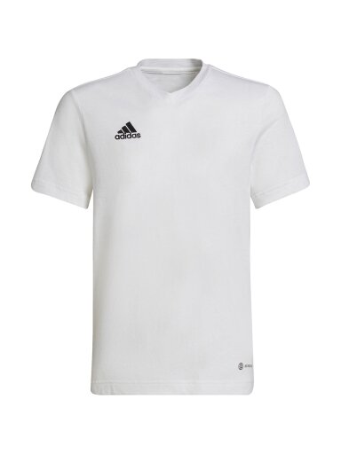 Adidas Entrada 22 Tee vaikiški marškinėliai, balti HC0447